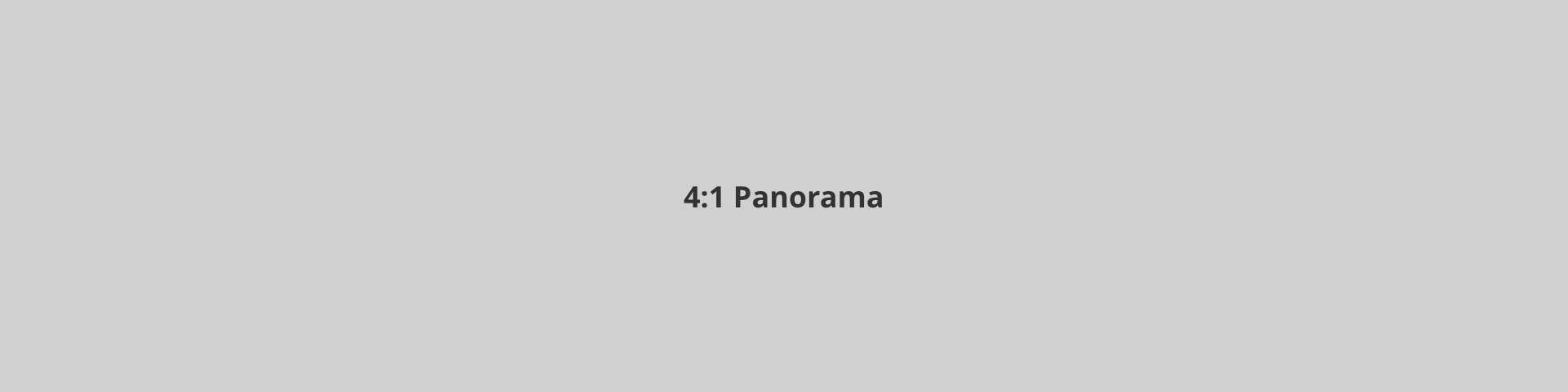 A 4:1 sized placeholder graphic